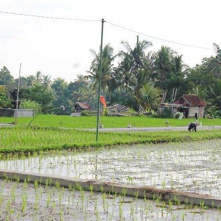Permana Ubud Cottage Экстерьер фото