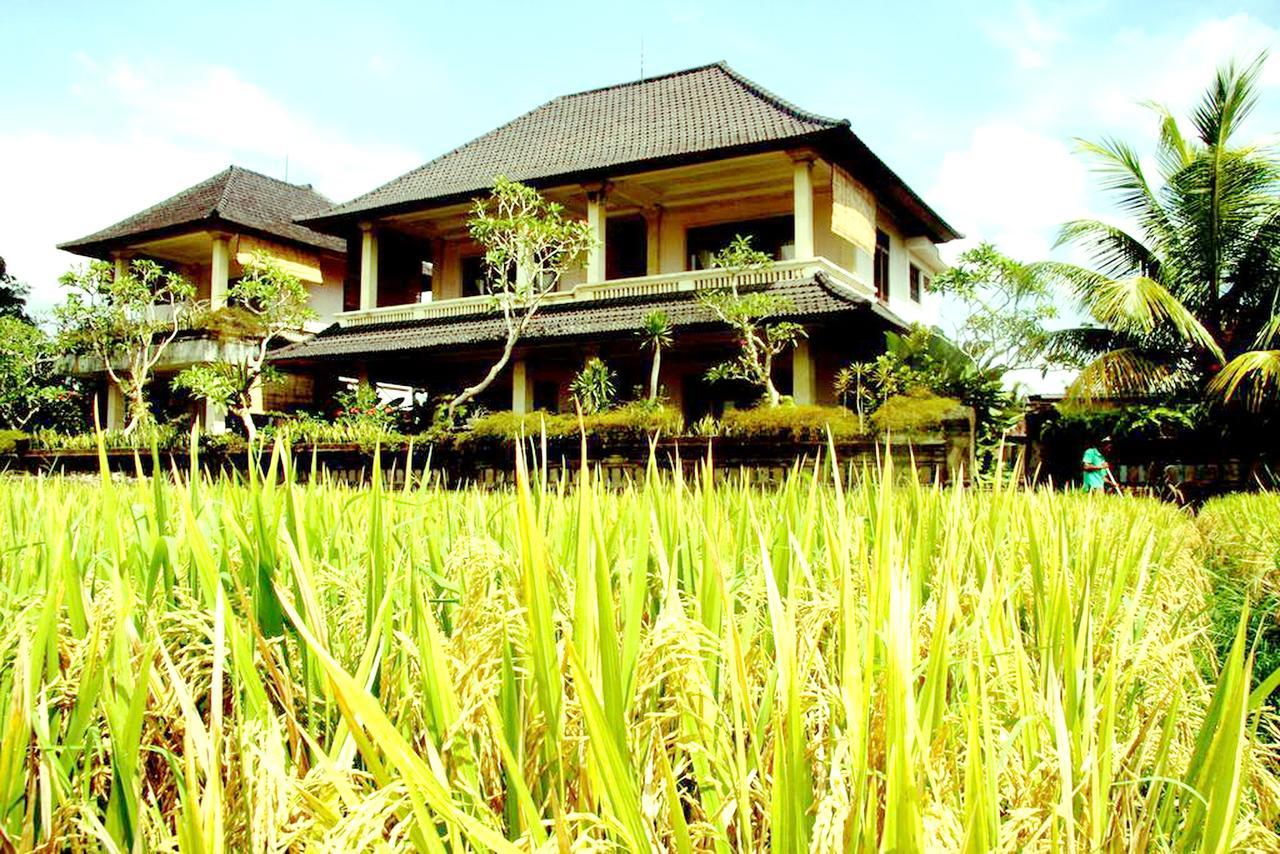 Permana Ubud Cottage Экстерьер фото